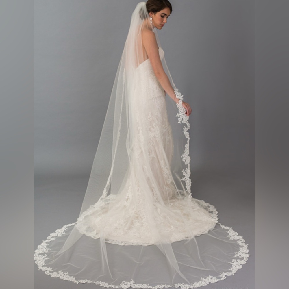 Bridal Cathedral Veil with Lace Edge - White
